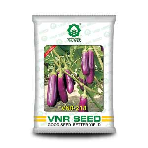 Specifications: • Light purple oblong fruit with green calyx • Good heat set • Cluster bearing and high yielder • Good keeping quality • First harvest in 40 to 45 days • Fruit length : 9.5 to 10.5 cm • Fruit size : 5 to 6 cm • Fruit weight : 80 to 100 cm Brand VNR Seed Type Hybrid Usage/Application Agriculture Packaging Size 10 Gram Packaging Type Packet Fruit Length 12-14 Cm Features: • First Harvest: 42-45 Days • Sowing Period 1:June-November • Seed Quantity Per Acre: 60 Gms • Sowing distance between rows/ridges: 60-90 cm • Sowing distance between plants: 45-75 cm • Sowing De