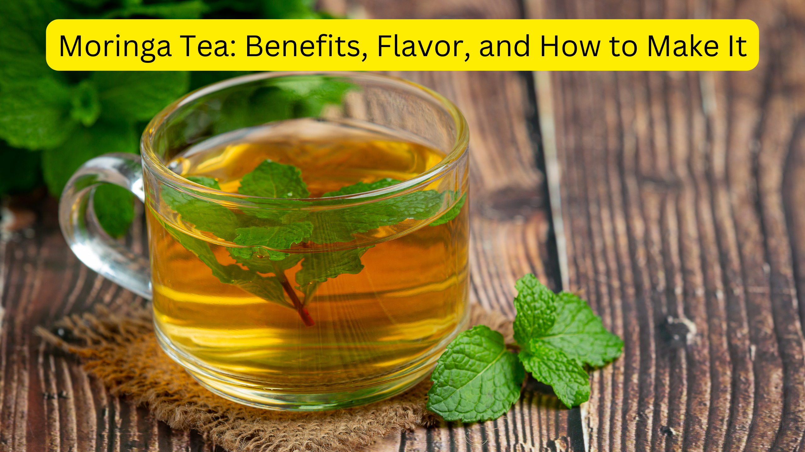 Moringa Tea Benefits, Flavor, and How to Make It